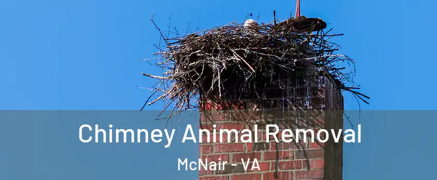  Chimney Animal Removal McNair - VA