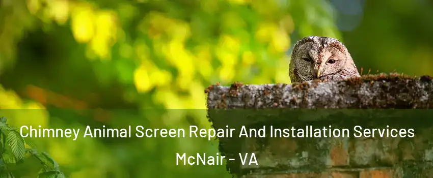  Chimney Animal Screen Repair And Installation Services McNair - VA