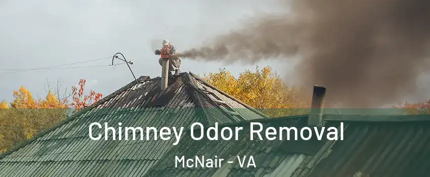  Chimney Odor Removal McNair - VA