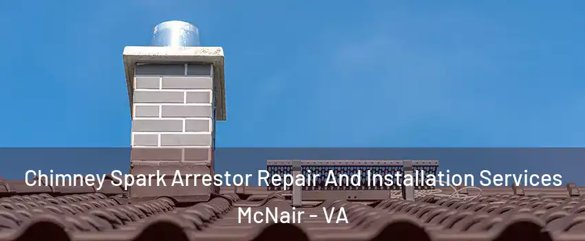  Chimney Spark Arrestor Repair And Installation Services McNair - VA