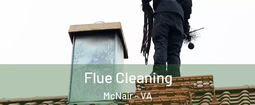 Flue Cleaning McNair - VA