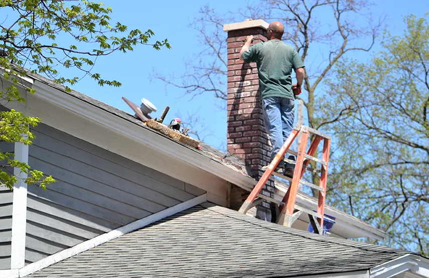 Chimney & Fireplace Inspections Services in McNair, VA