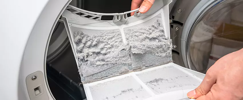 Best Dryer Lint Removal Company in McNair, Virginia