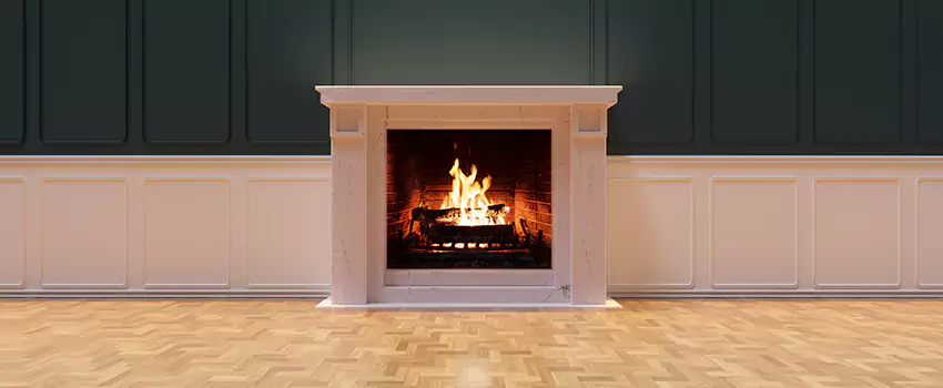 Napoleon Electric Fireplaces Inspection Service in McNair, Virginia