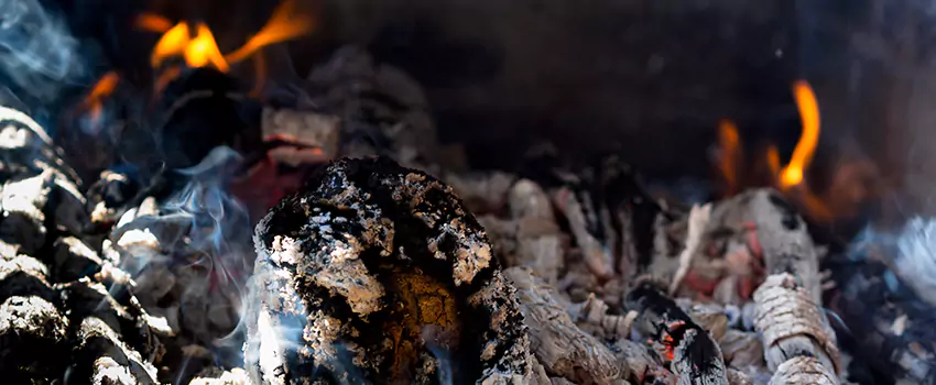 Creosote Removal Experts in McNair, VA