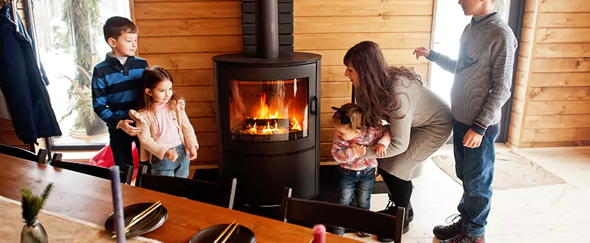 Jøtul Gas Fireplace Inspection Service in McNair, Virginia